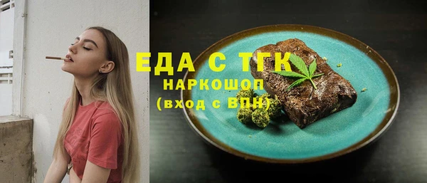индика Вязники