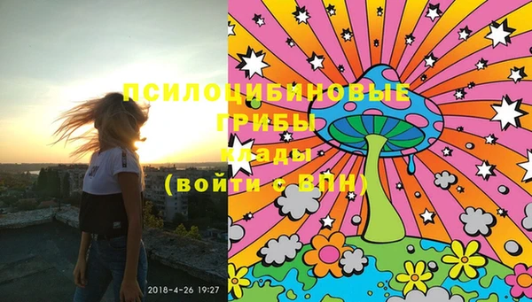 индика Вязники