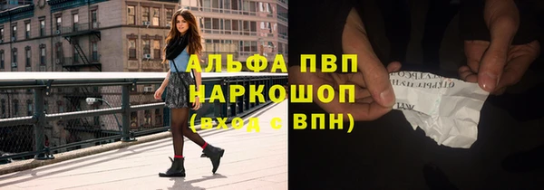 прущие грибы Вяземский