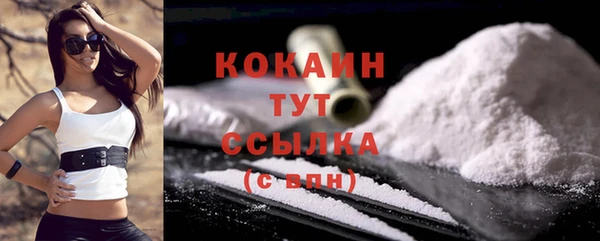 индика Вязники