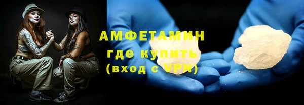 прущие грибы Вяземский