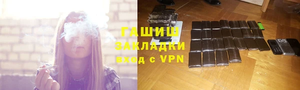 прущие грибы Вяземский