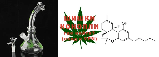 прущие грибы Вяземский