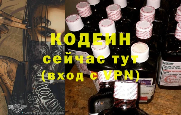 прущие грибы Вяземский