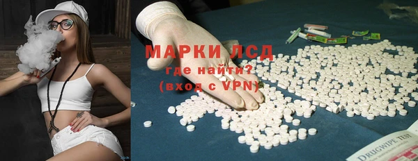 прущие грибы Вяземский