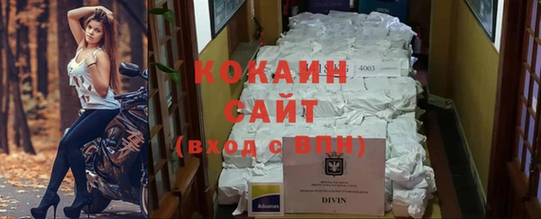 индика Вязники
