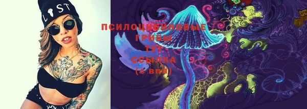 прущие грибы Вяземский