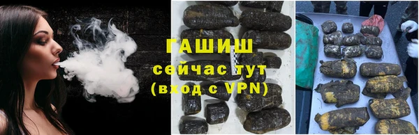 индика Вязники
