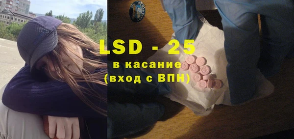 индика Вязники