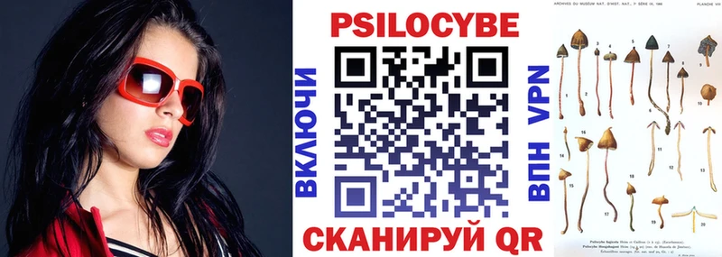 ОМГ ОМГ ТОР  Арзамас  Галлюциногенные грибы GOLDEN TEACHER 